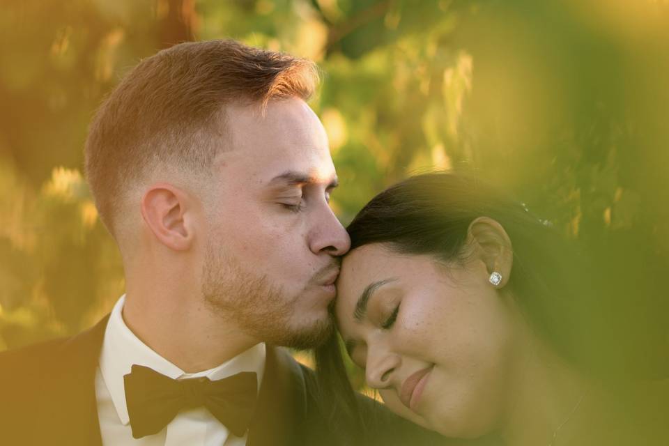 Groom Kissing Bride in Orchard