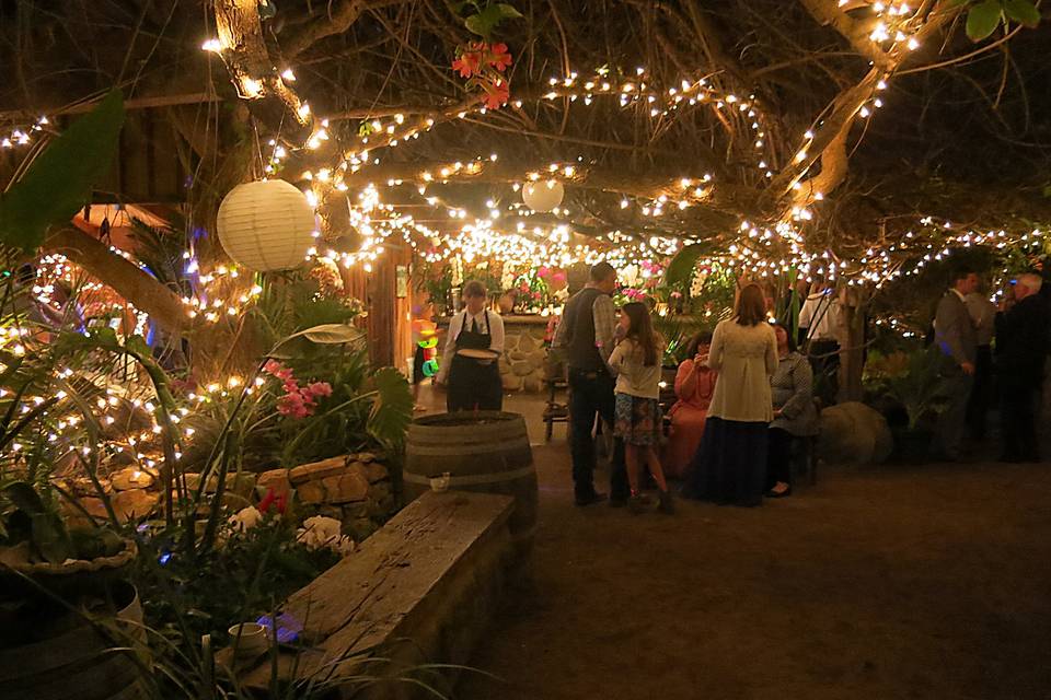 Jenna and Colin's reception was at the Holly Farm in Carmel Valley, California.  It is magical at night and country like in the daylight.