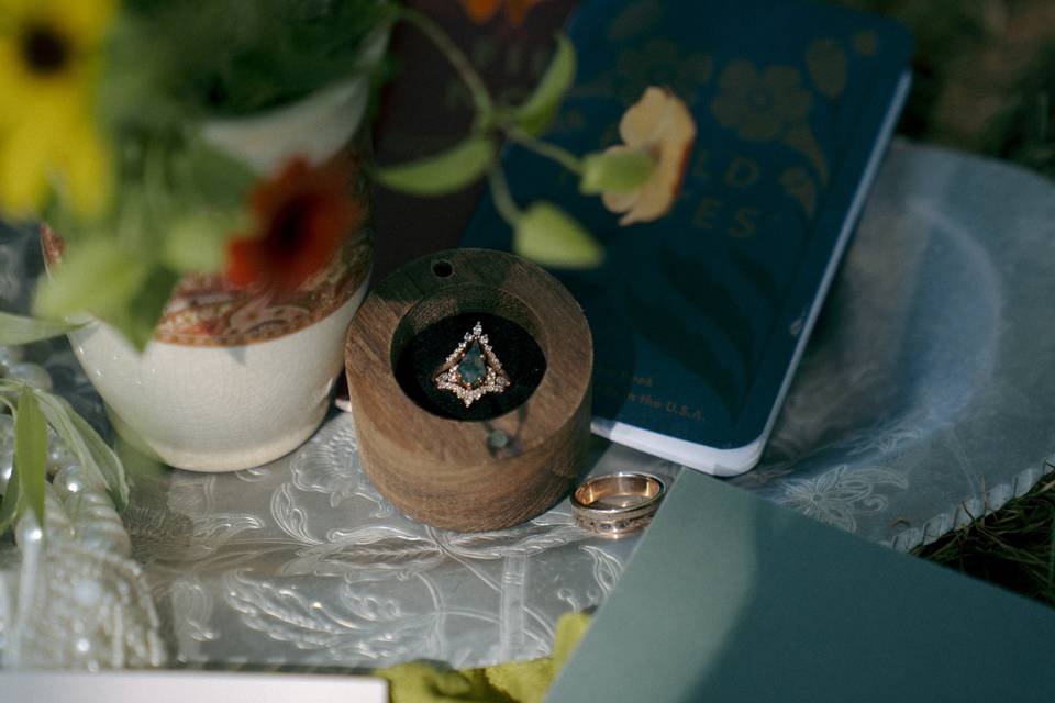 Connecticut  Engagement Sessio