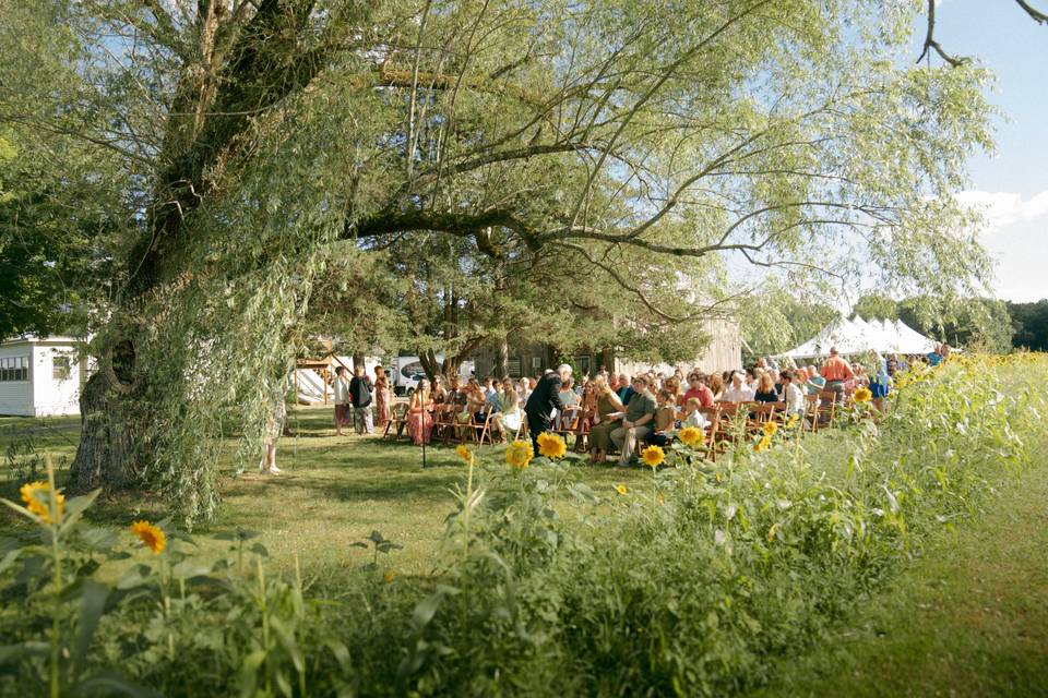 Whately, MA Wedding Photograph