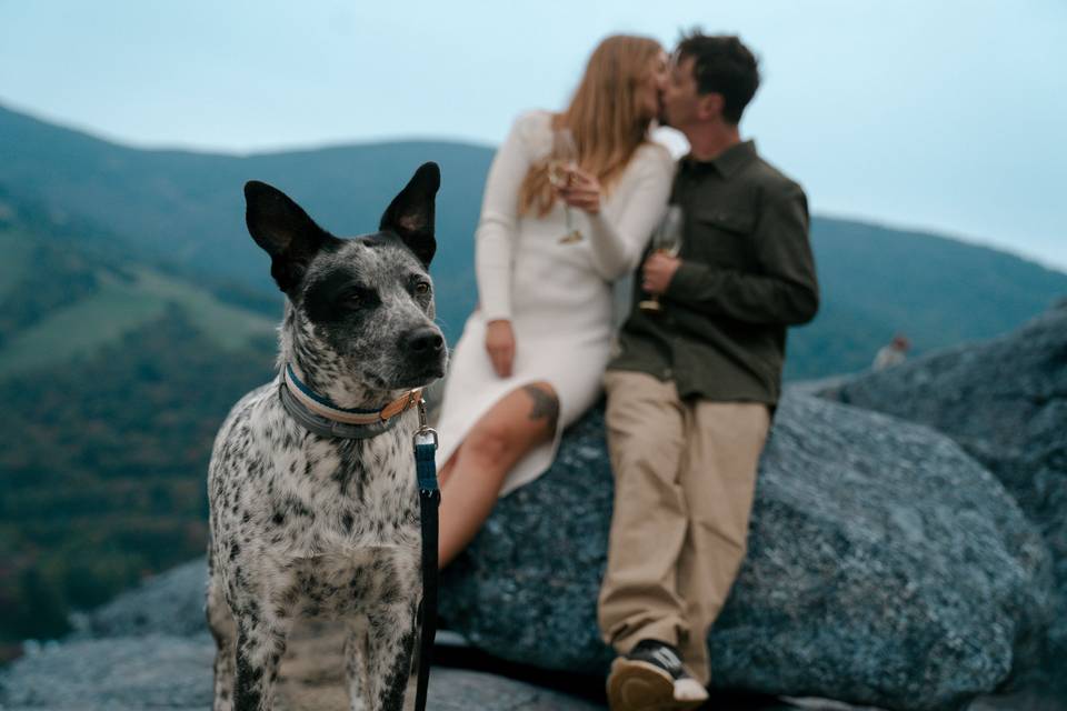 White Mountains, NH Elopement