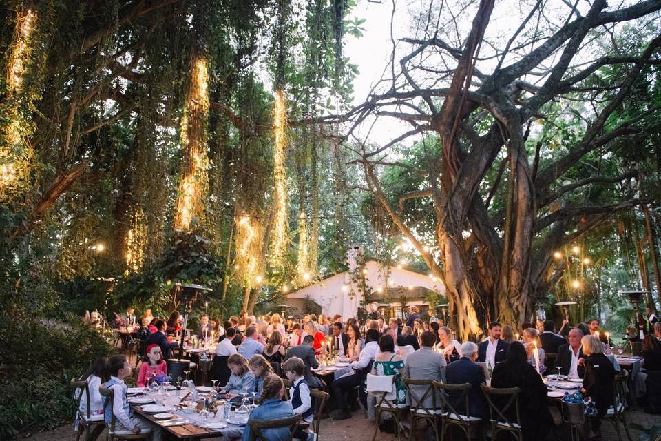South Africa wedding