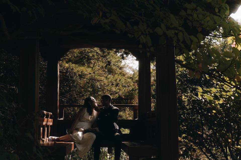 Wedding Day