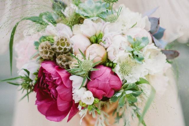 Lauren Scotti Photographer