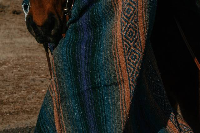 Custom Mexican Blankets