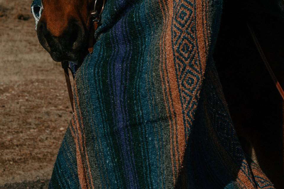Custom Mexican Blankets