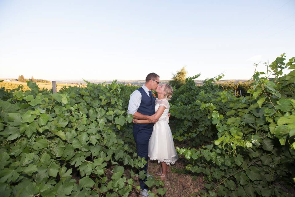 Vineyard Wedding