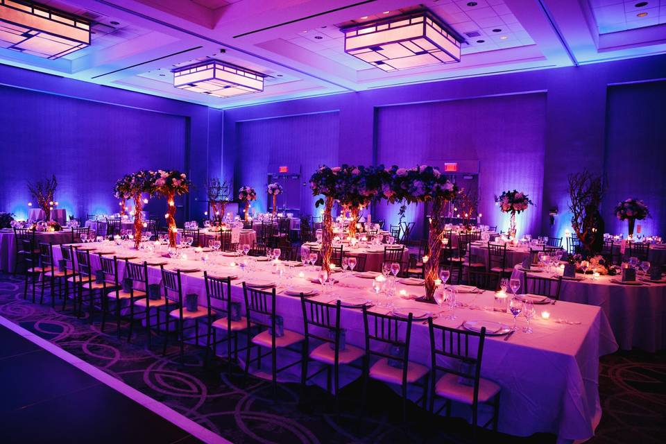 LED Lighting