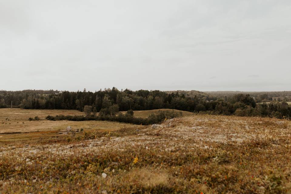 West Branch Farms