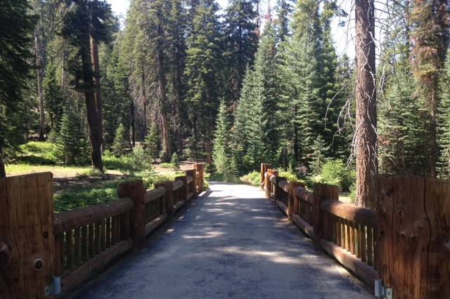 Sequoia Bridge