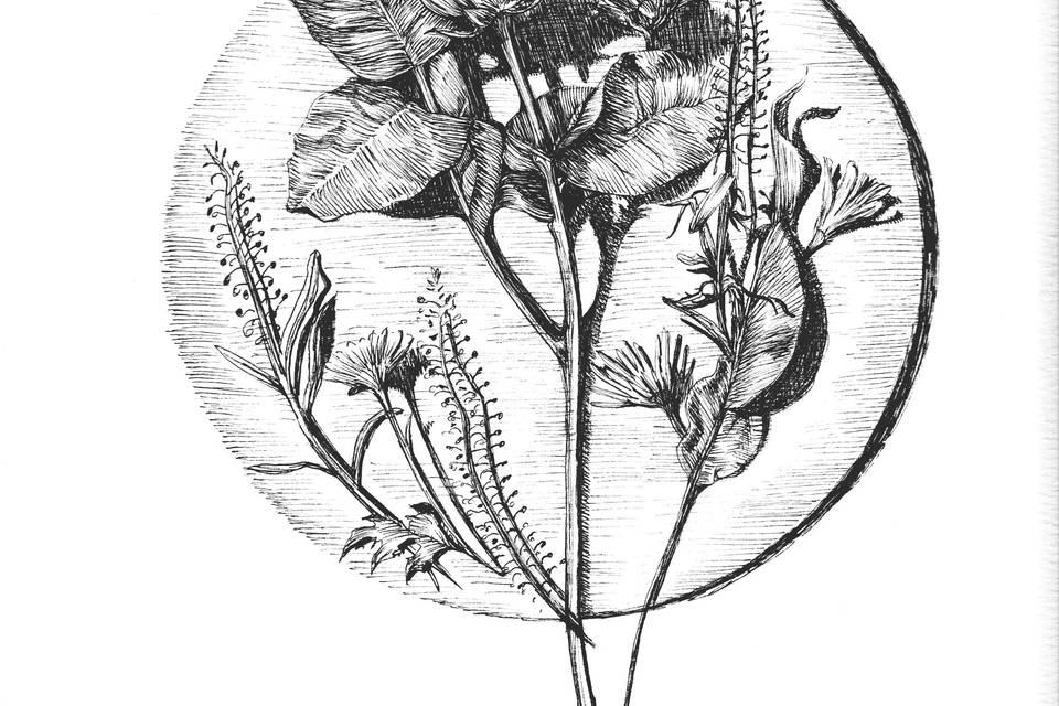 Ink Drawing of Flowers