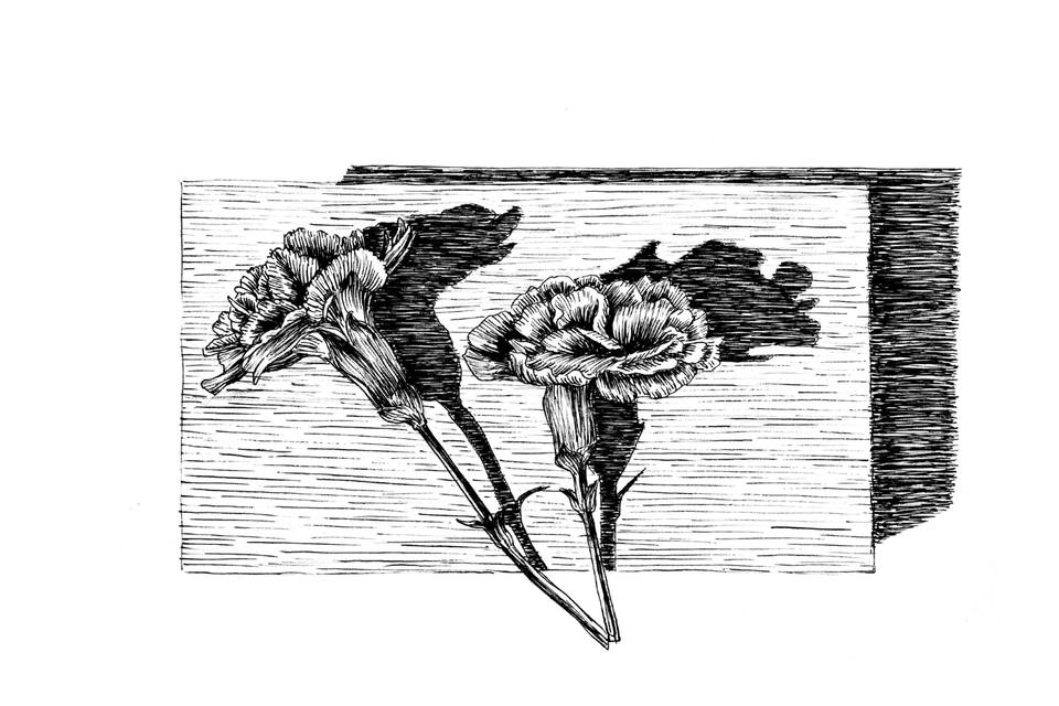 Ink Drawing of Flowers