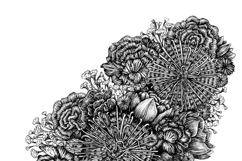 Ink Drawing of Flowers