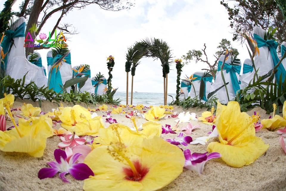 Hawaii beach ceremony setup