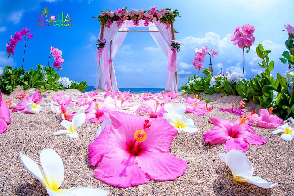 Aloha Island Weddings