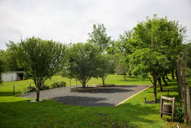 Lotuswood Organic Wellness Farm