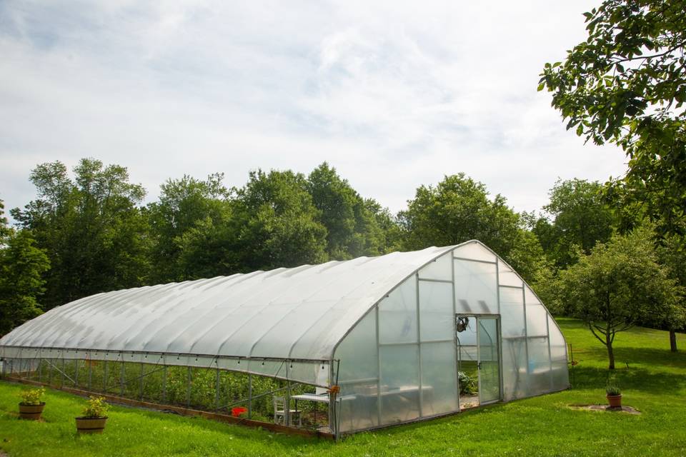 Greenhouse
