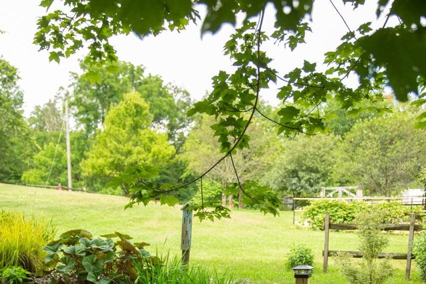 The grounds