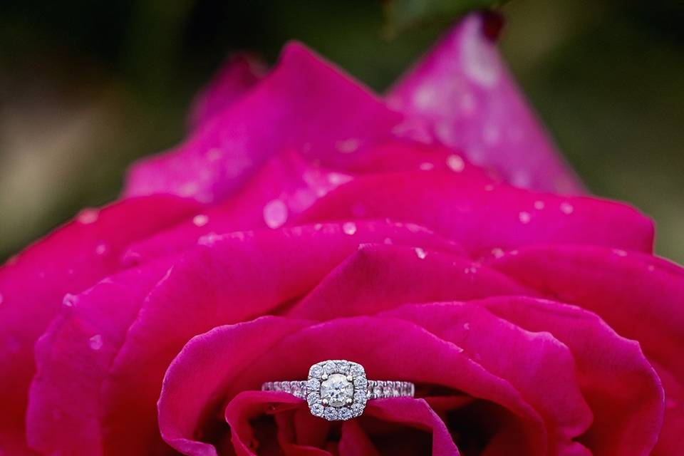 Anchor & Lace Photography