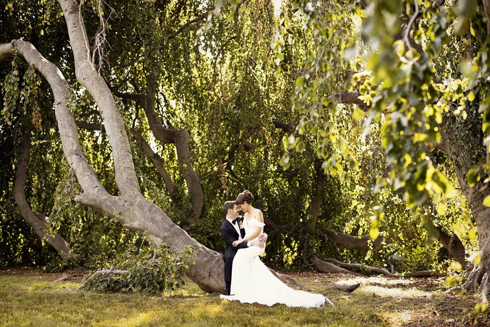 Anchor & Lace Photography