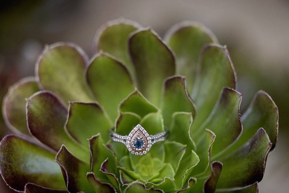 Anchor & Lace Photography