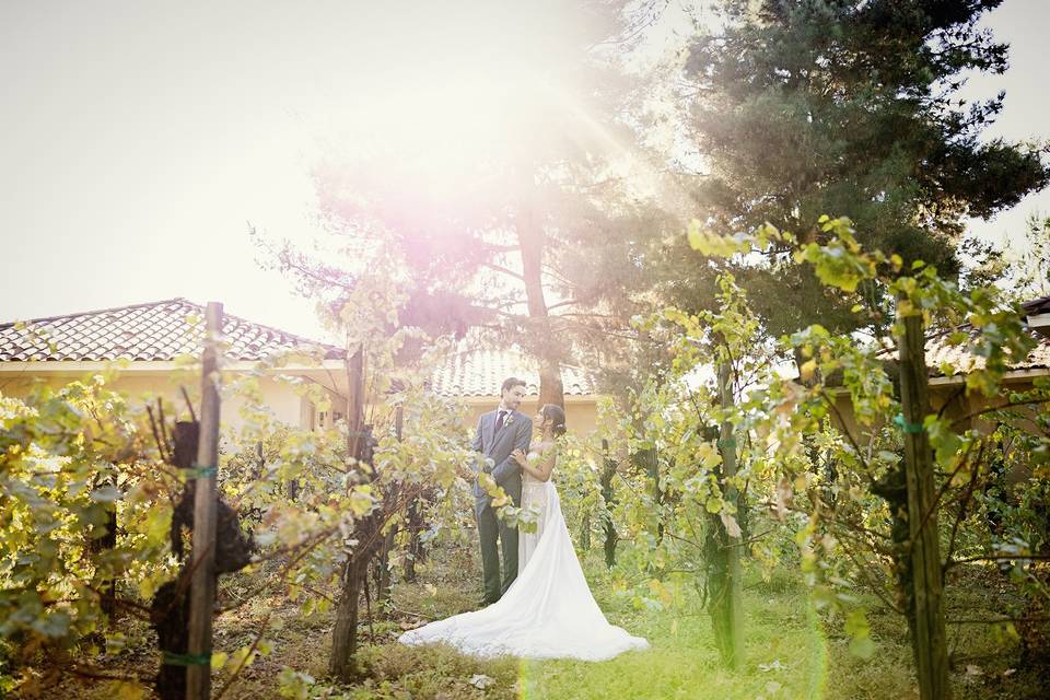 Anchor & Lace Photography