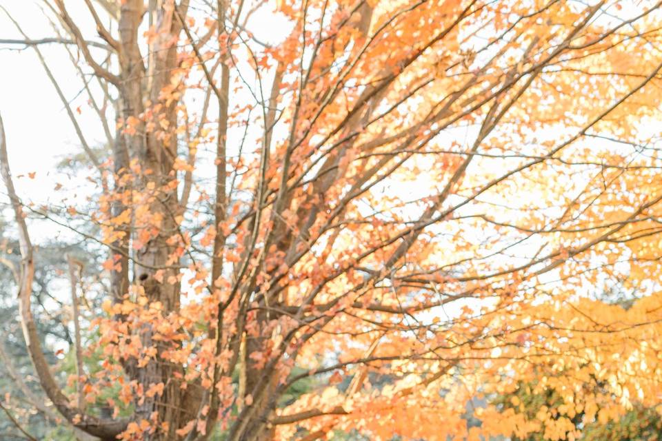 Londontown Gardens Wedding