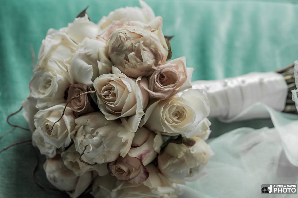 Angela Dawn Photography