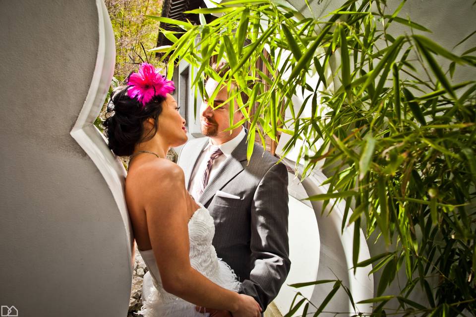 Angela Dawn Photography