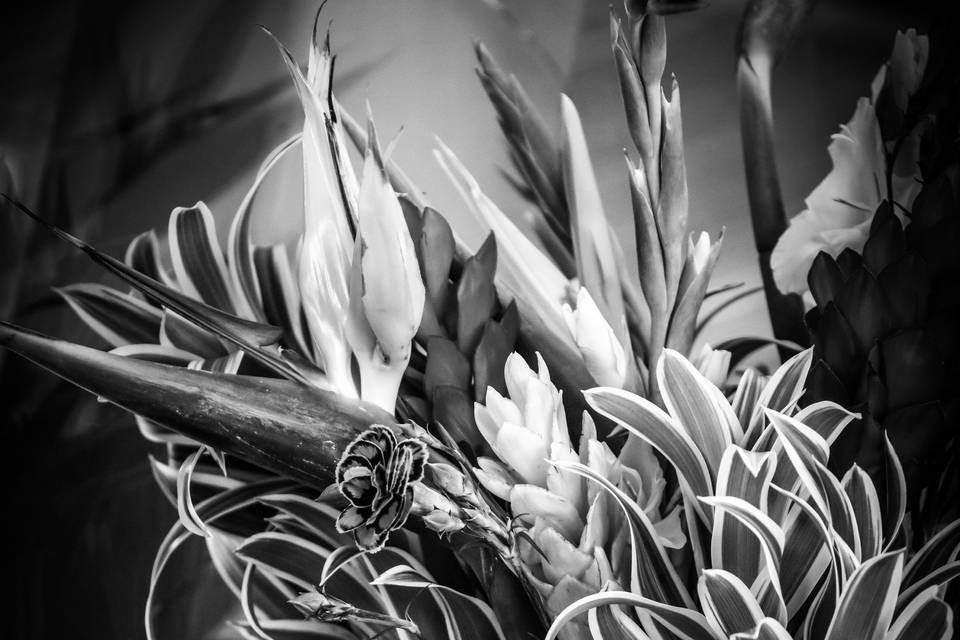 Angela Dawn Photography