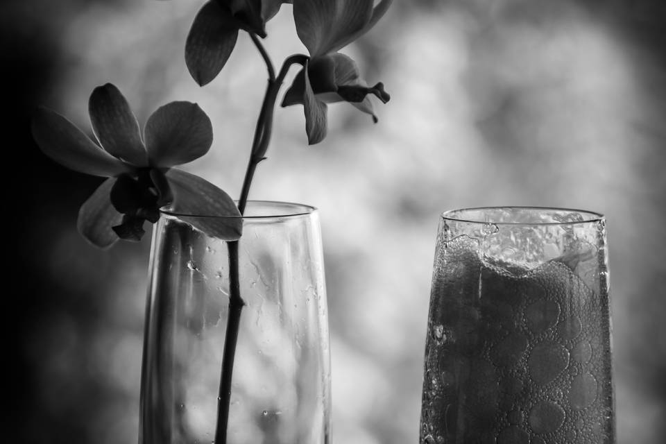 Angela Dawn Photography
