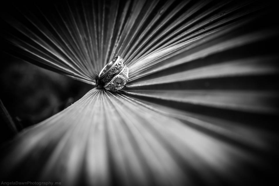 Angela Dawn Photography