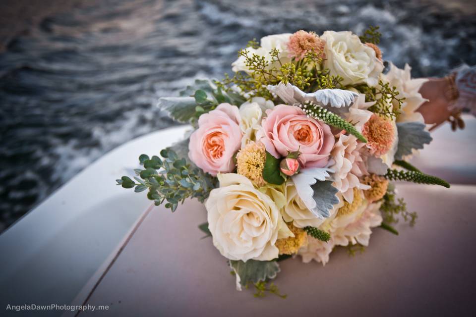 Angela Dawn Photography