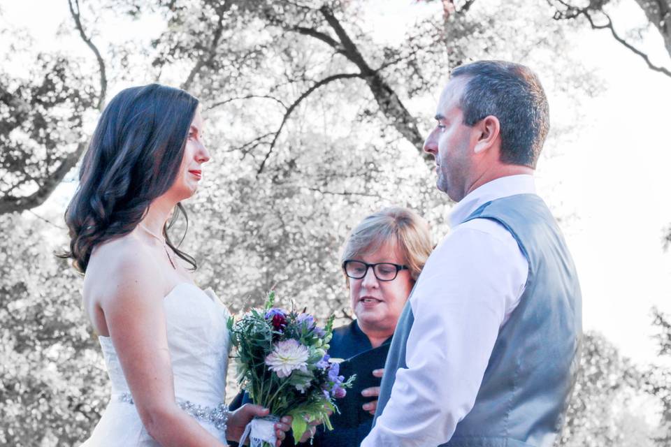 Aaron S. Flook Photography