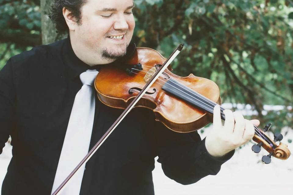 Steven Vance Electric Violins - Reviews, Photos & Deals 2026