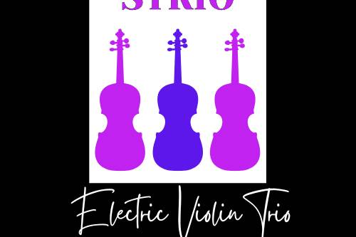 Omni Violin & DJ Package