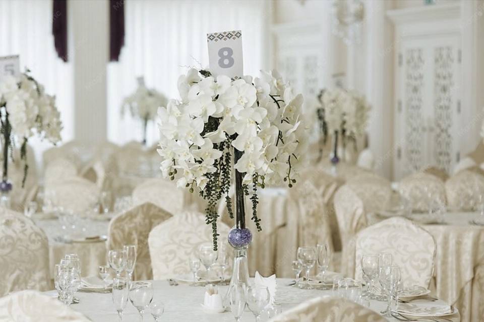 Sam set table