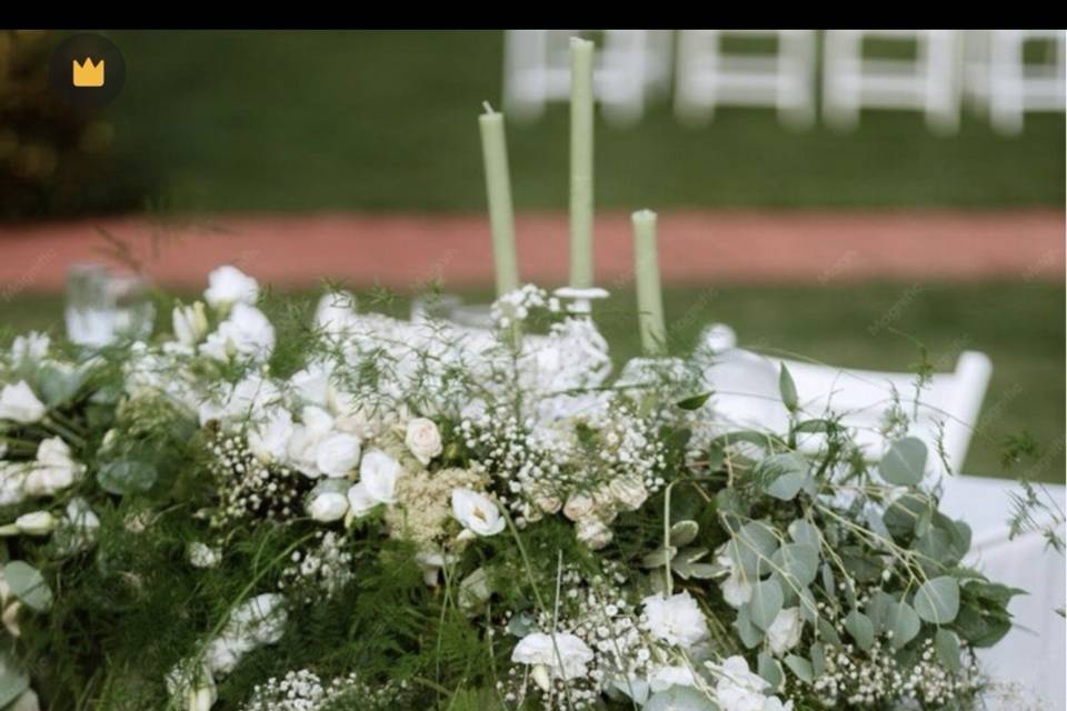 IMG_9763.jpeg