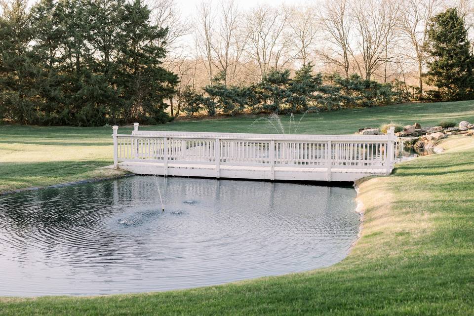 Footbridge over a pond