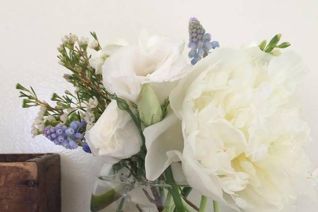 Corinne Hursh Events
