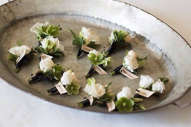 Corinne Hursh Events