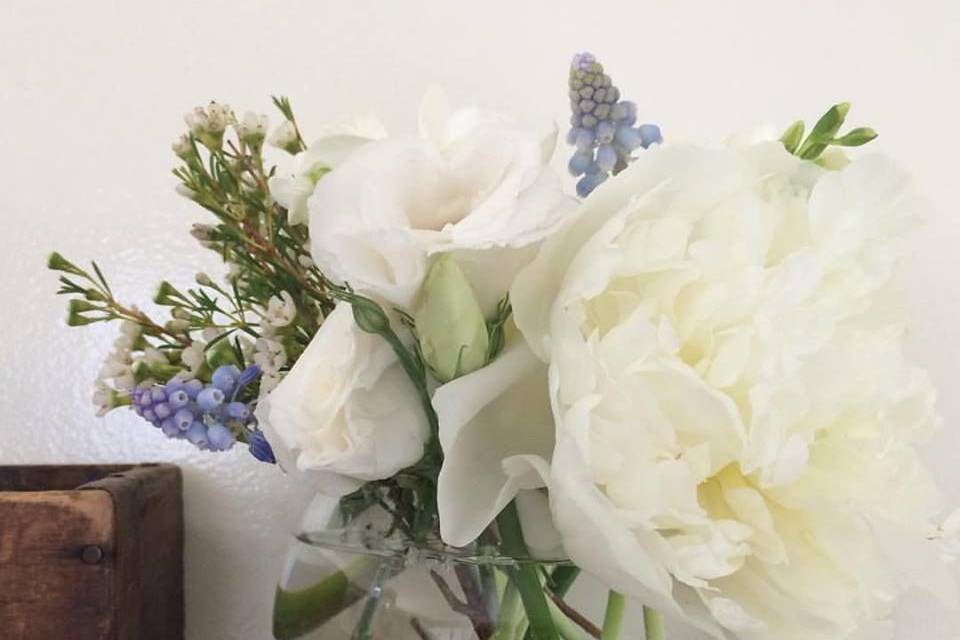 Corinne Hursh Events