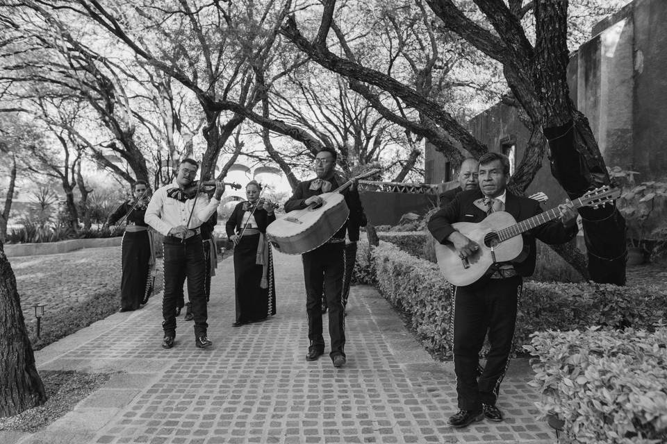 Mariachi