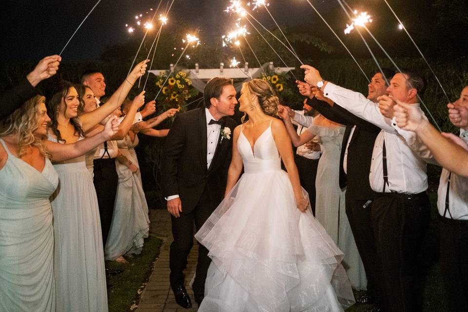 Sparkler Shot, Rose Garden