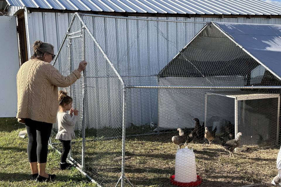 Our chicken coop