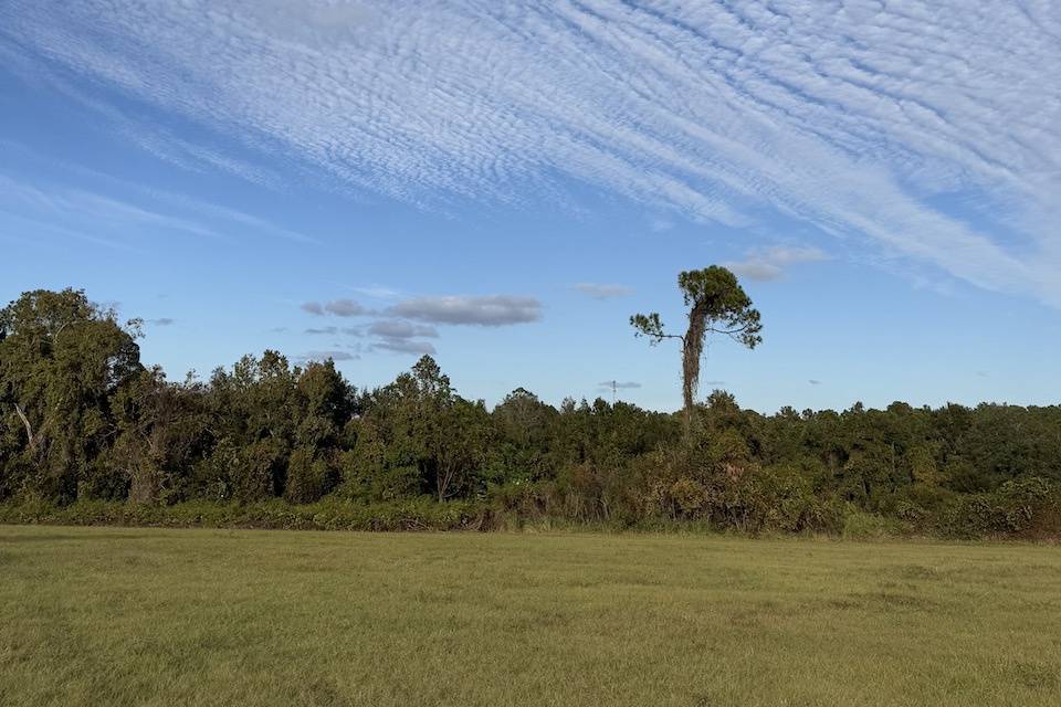 Gorgeous vistas