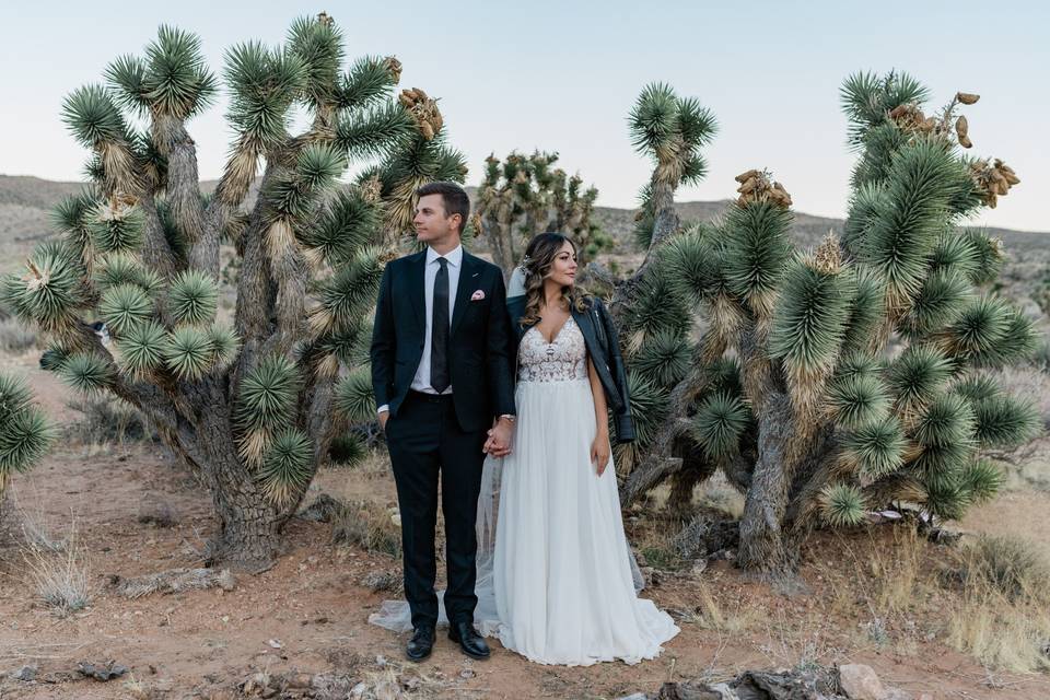 Red Rock Canyon Wedding