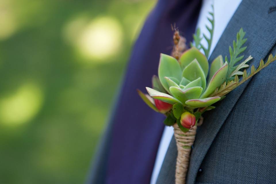 Strelitzia Flower Company