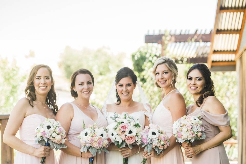 Bride and bridesmaids