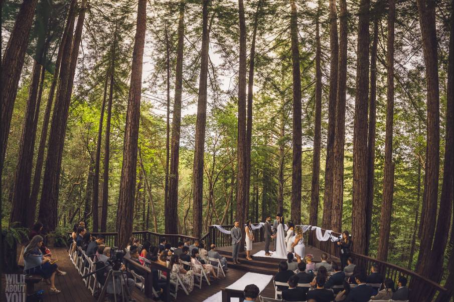 Amphitheater of the Redwoods at Pema Osel Ling